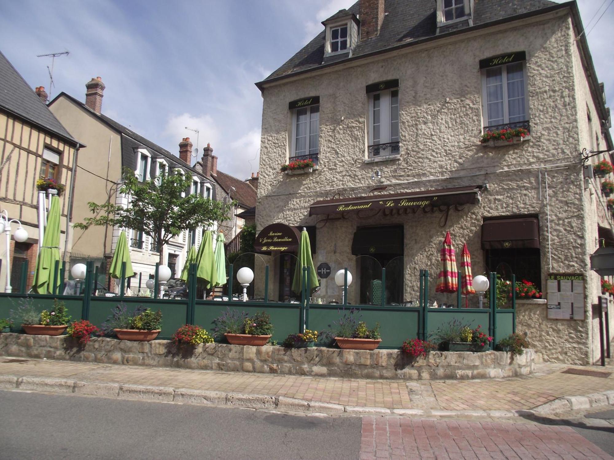 Отель Le Sauvage Chateau-Renard Экстерьер фото